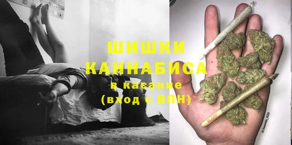 дмт Богданович