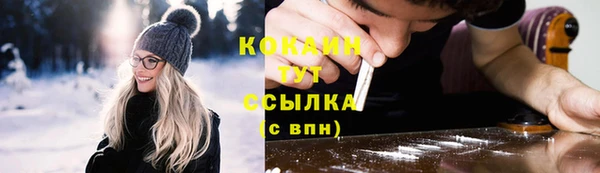 сатива Сосновый Бор