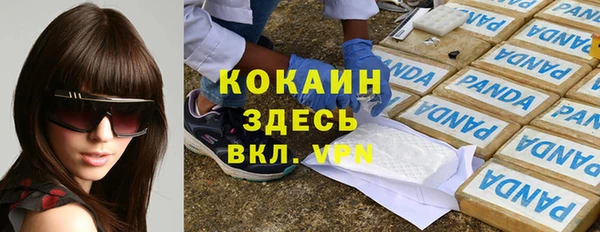 молекула духа Белокуриха