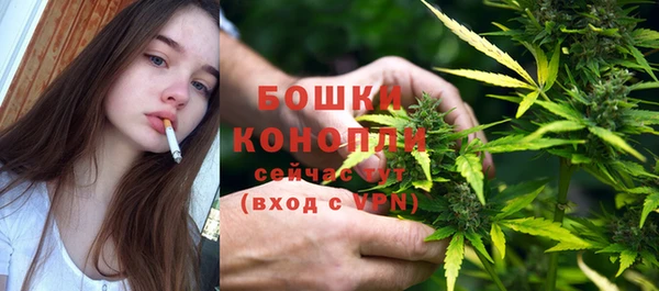 сатива Сосновый Бор