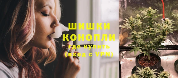 дмт Богданович