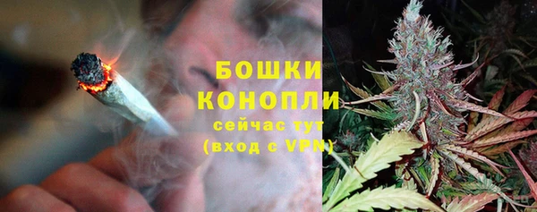 молекула духа Белокуриха